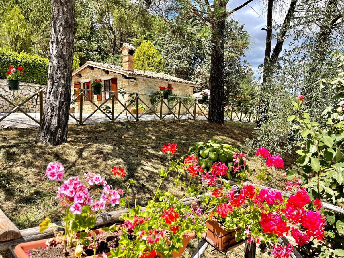 La Panoramica Gubbio - Maison De Charme - Casette E Appartamenti Self Catering Per Vacanze Meravigliose! Екстериор снимка