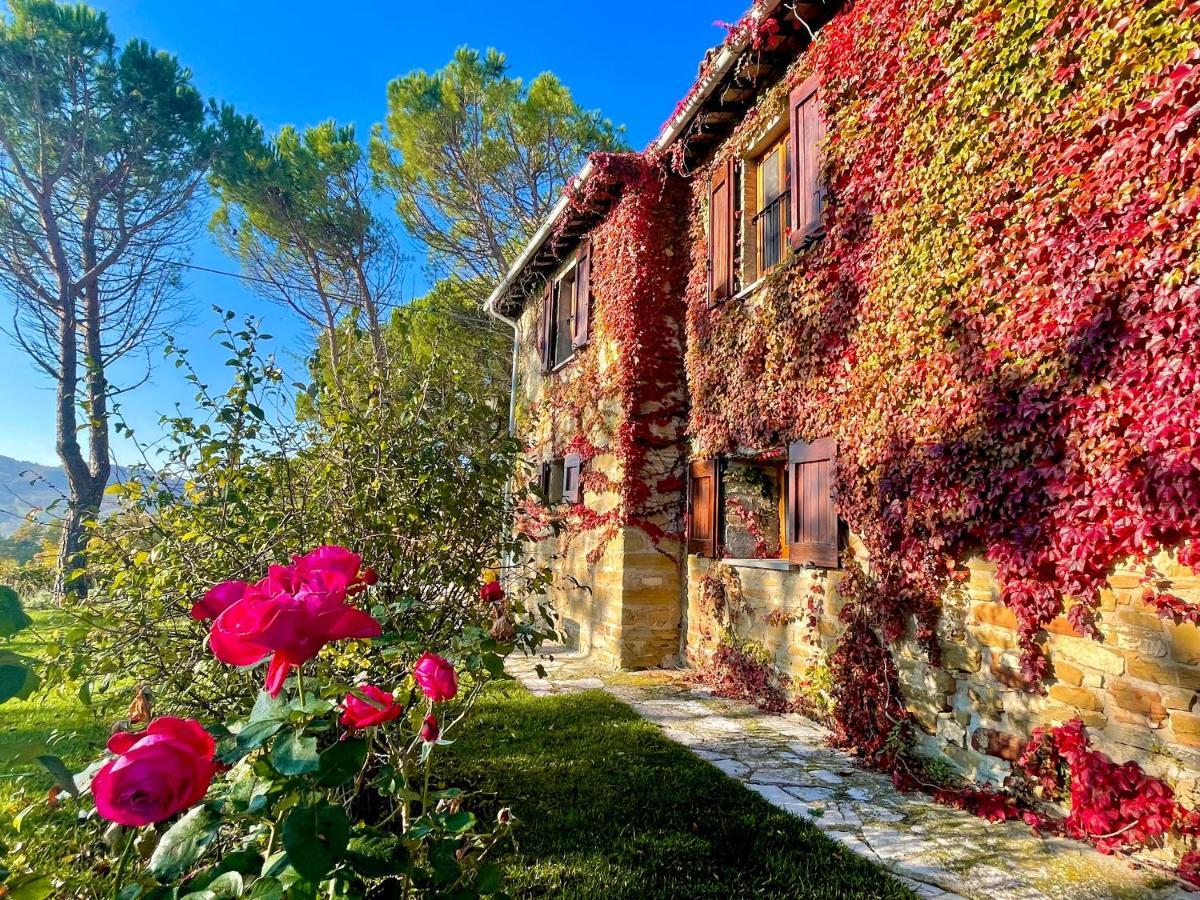 La Panoramica Gubbio - Maison De Charme - Casette E Appartamenti Self Catering Per Vacanze Meravigliose! Екстериор снимка