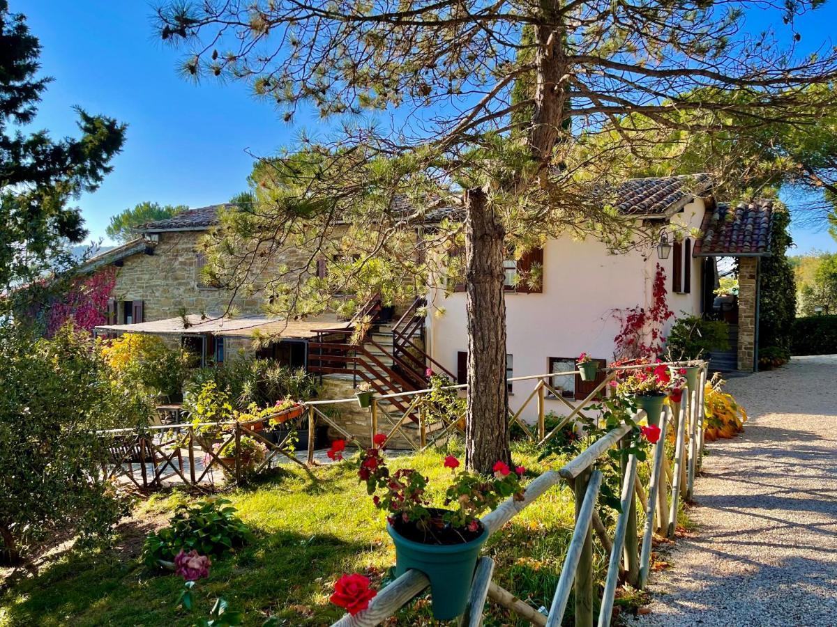 La Panoramica Gubbio - Maison De Charme - Casette E Appartamenti Self Catering Per Vacanze Meravigliose! Екстериор снимка